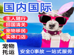 厦门航空邮寄国际宠物托运 【国
